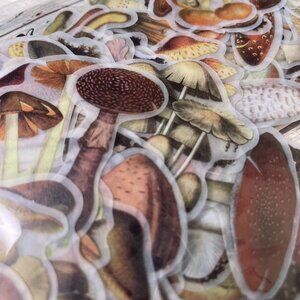 Vellum Mushroom Stickers Crafting Scrapbooking Journaling Ephemera 50 mq